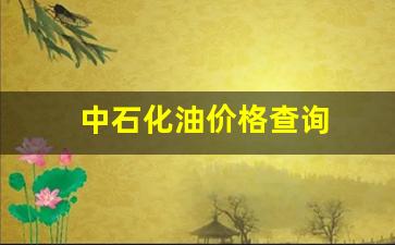 中石化油价格查询app-中石化油价格查询