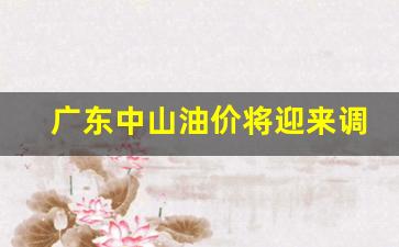 广东中山油价将迎来调整-广东中山今日油价92汽油